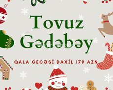 Özəl Gədəbəy-Tovuz turu