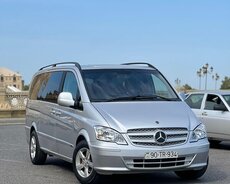 Mercedes Viano, 7 nəfər