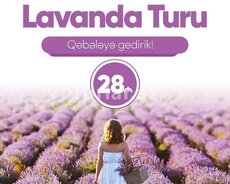Möhtəşəm Qəbələ Lavanda turu