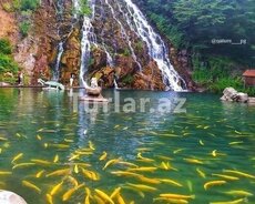 Şəki Yaylası Oğuz Xal-xal Turu Hər-həftəsonu 02.05