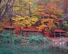 Şəki Yaylası Oğuz Xal-xal Turu