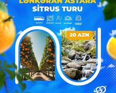 Lənkəran Astara Sitrus turu
