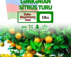 Lənkəran Astara sitrus turu