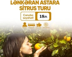 Lənkəran Astara sitrus turu