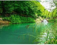 Zaqatala - Balakən - Qəbələ- Qax – Şəki