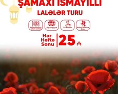 Şamaxı İsmayıllı Lalələr Turu