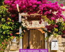 Bodrum turu
