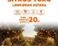 Lənkəran Astara Sitrus Turu