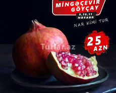 Bol əyləncə, payız gözəlliyi: Göyçay, MİNGƏÇEVİR TURU