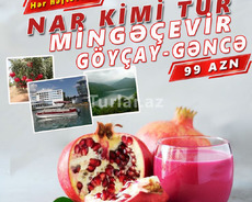 Nar ətri, göl gözəlliyi: Göyçay, Mingəçevir , Göygöl turu