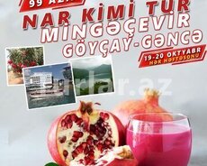 Təbii ləzzətlər, Göyçayın Nar bağları