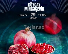 Meyvələr aləmi, 1 günlük Göyçay Mingəçevir turu