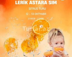 Lənkəran Sitrus Lerik Astara Sım kəndinə tur