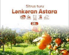 Lənkəran Astara sitrus turu ilə səyahət