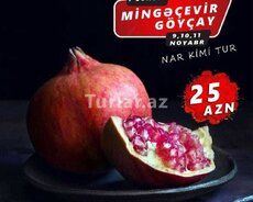 Göyçay Mingəçevir komfortlu tur