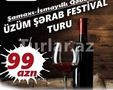 Şamaxı- Üzüm Şərab festivalına qatılın