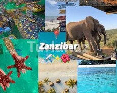 Zanzibar tropik səyahət